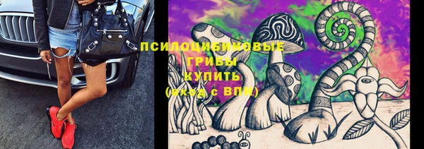 mix Вяземский