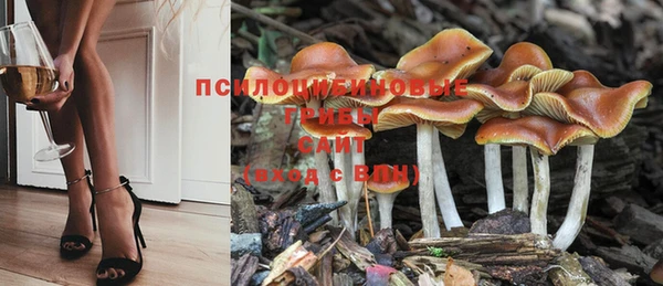 соль ск Вязьма