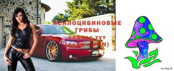 mix Вяземский