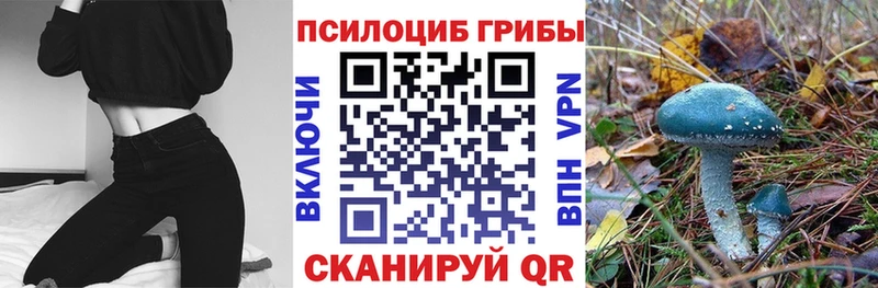Псилоцибиновые грибы Psilocybine cubensis  Купить  Камышлов 